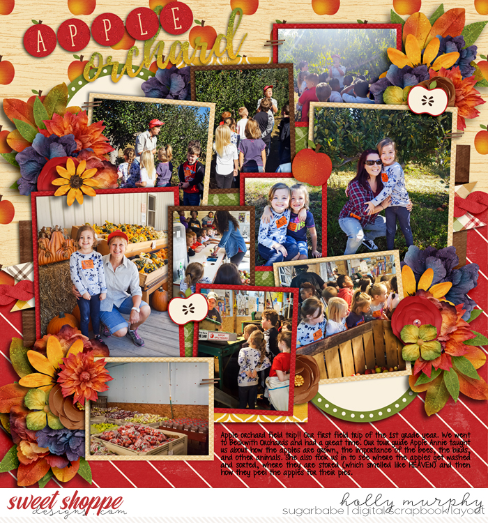 Apple Orchard