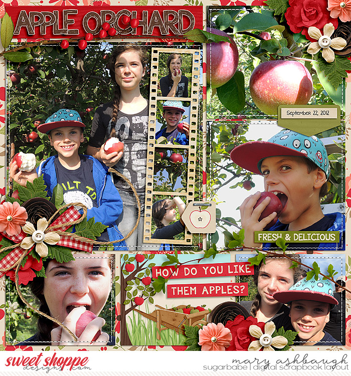 Apple Orchard