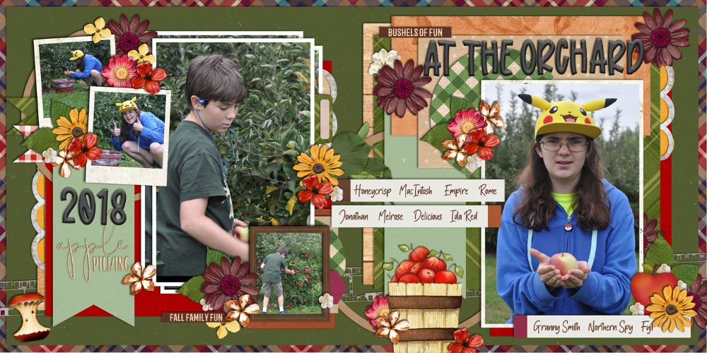 Apple Picking 2018