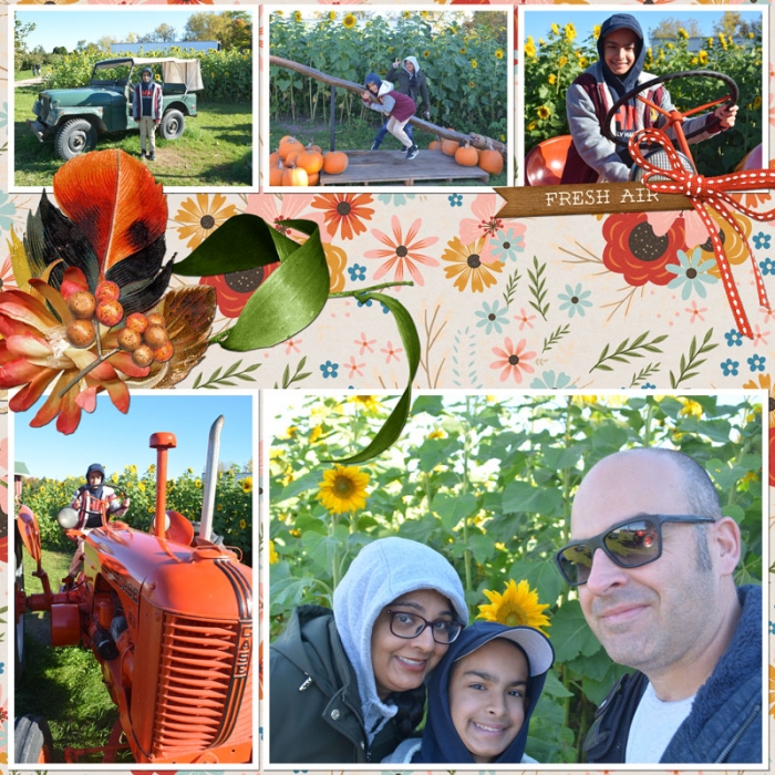 Apple Picking - Farm