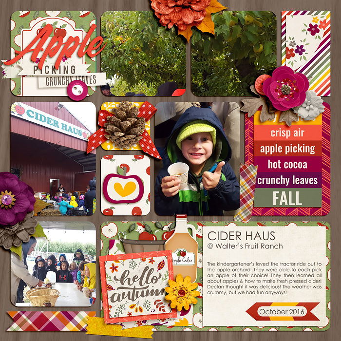 Apple Picking