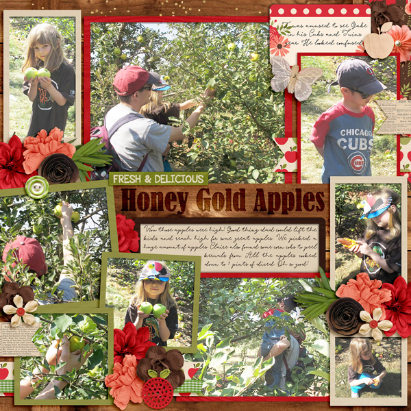 apple picking