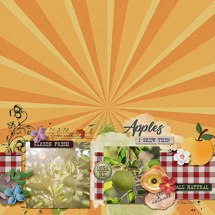 Apples