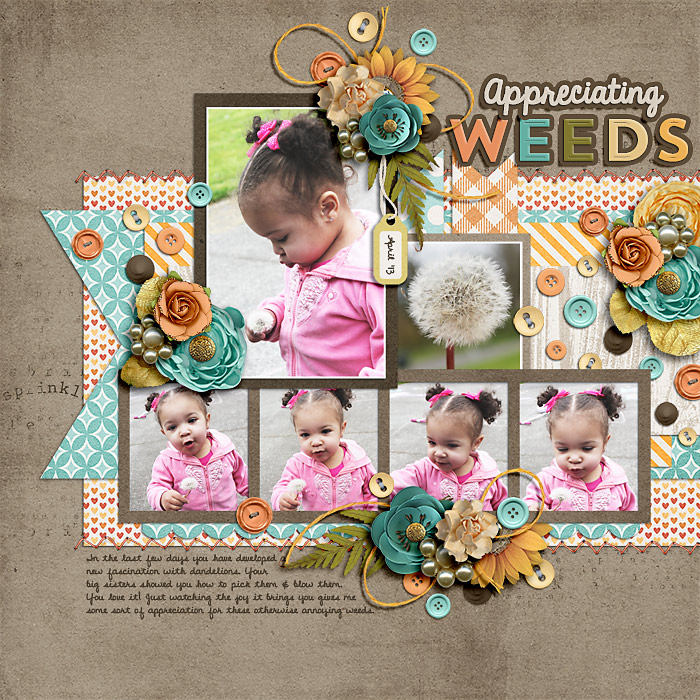 Appreciating Weeds