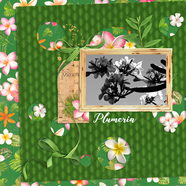 Apr 02 - floral bg
