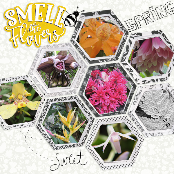 Apr 12 - hexagons