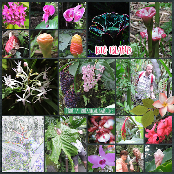 Apr 22 - tropical gardens