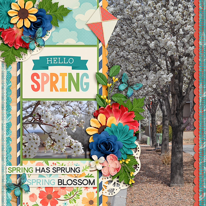 April Bingo Challenge #15: Up Close/From Afar