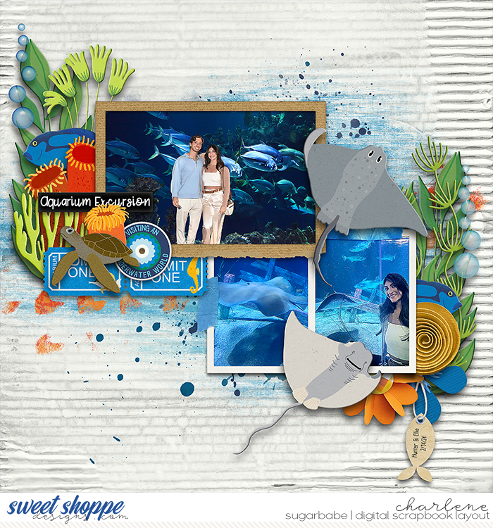 Aquarium Excursion