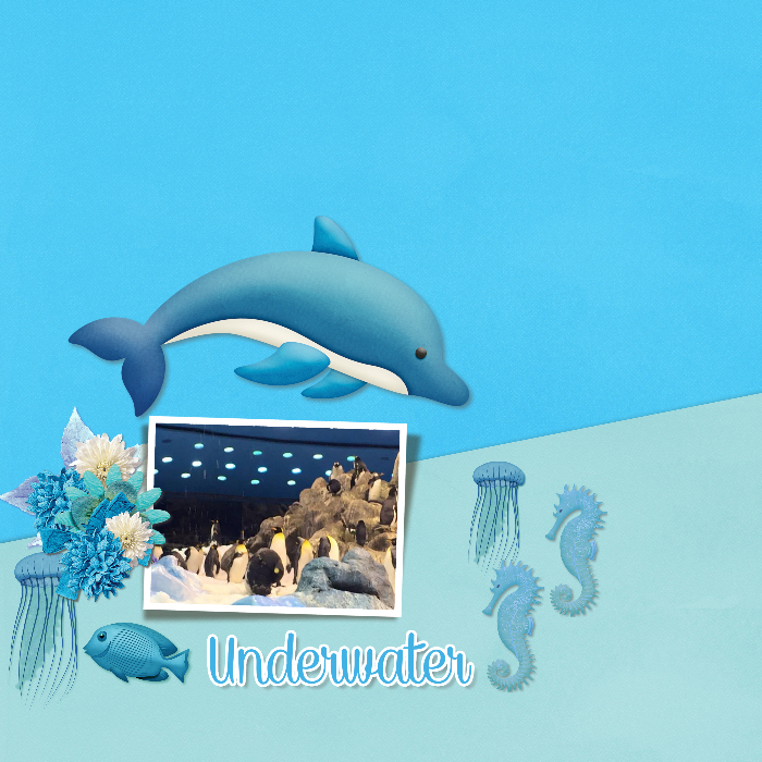 Aquarium