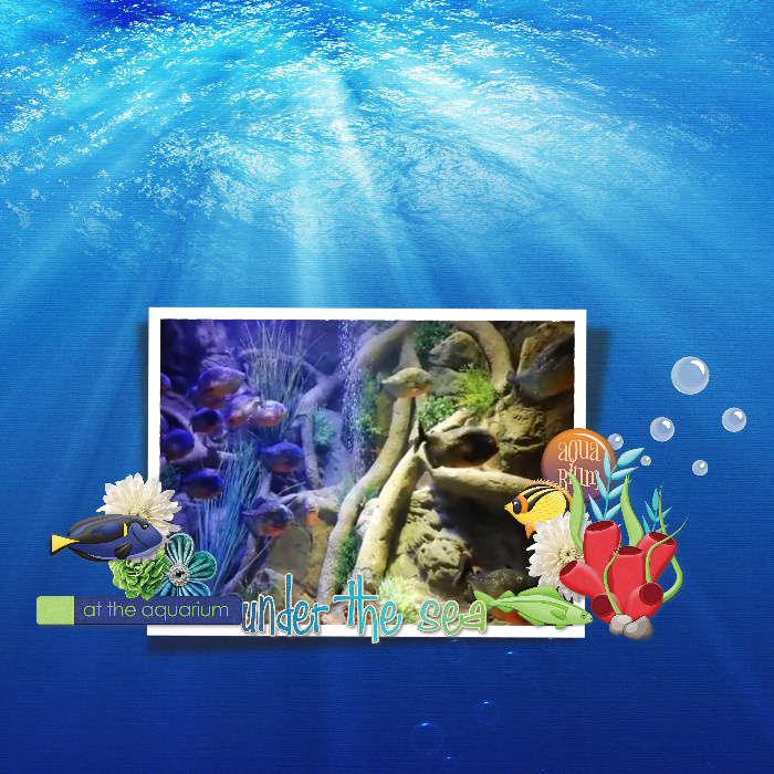 Aquarium6
