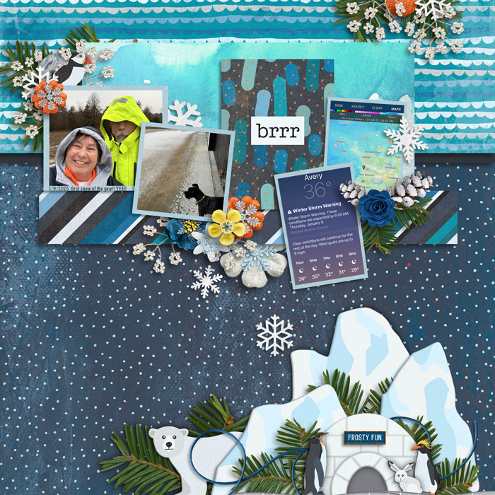 Arctic Adventure by Clever Monkey Graphics