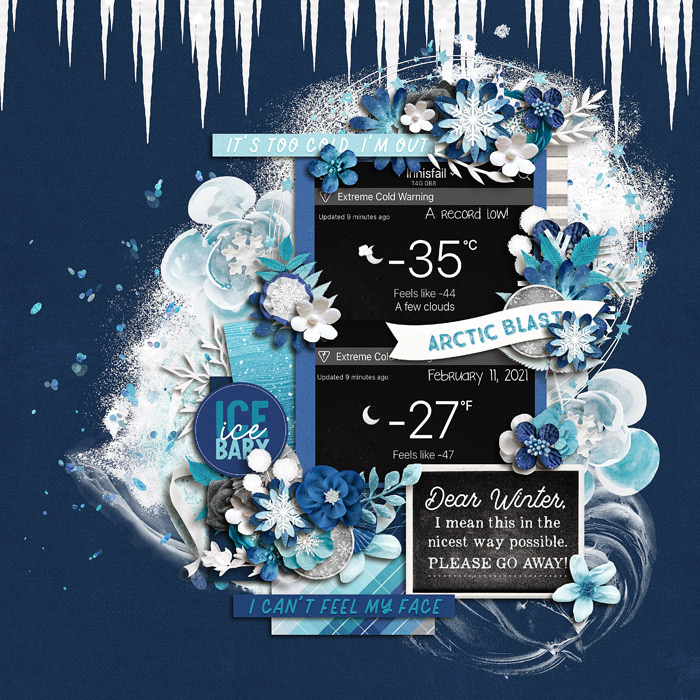 Arctic Blast
