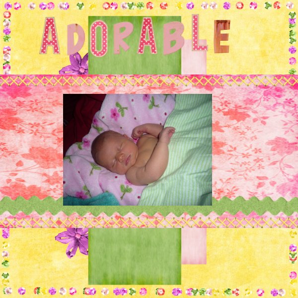 Ariana - 1 week old