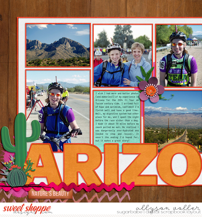 Arizona 2004 left