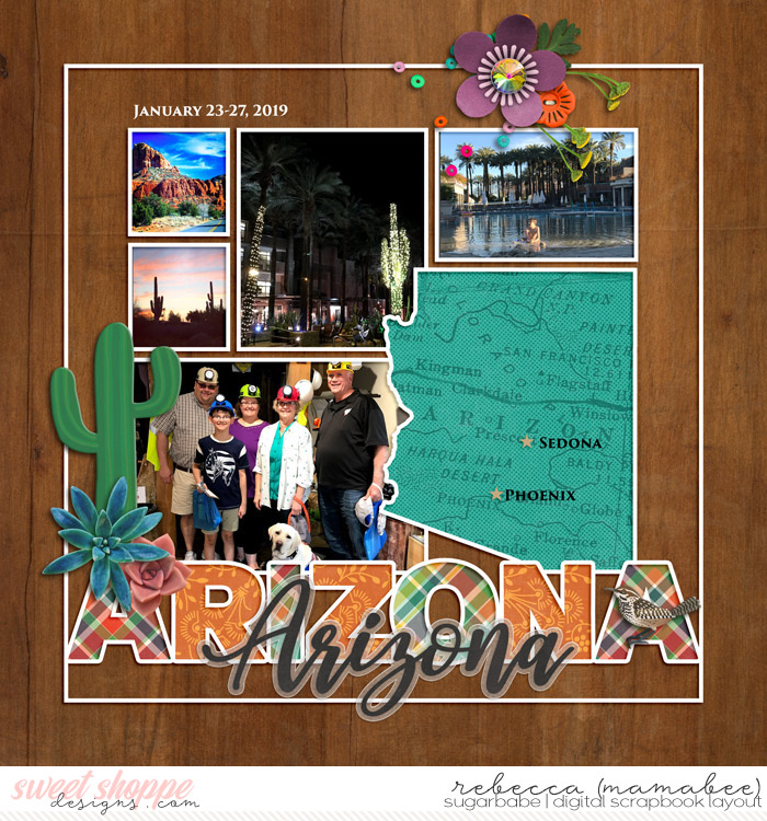 Arizona cover page