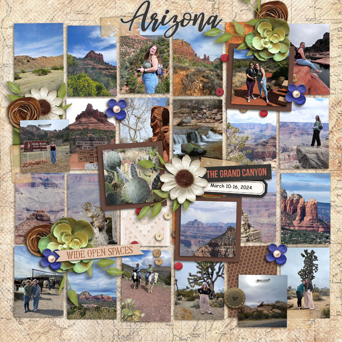 Arizona in Review