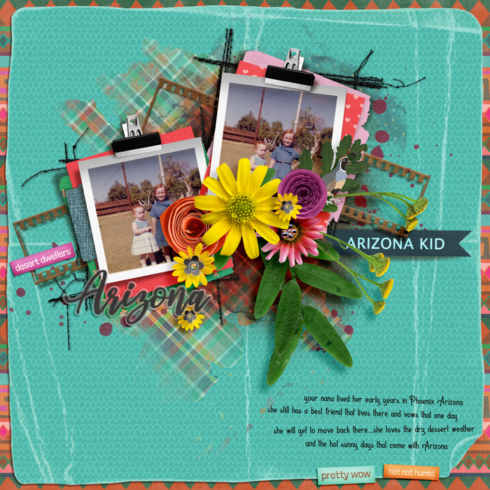 Arizona