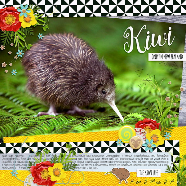 Around the world: New Zealand