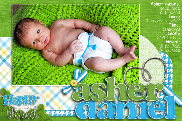 Asher's Birth Announcement