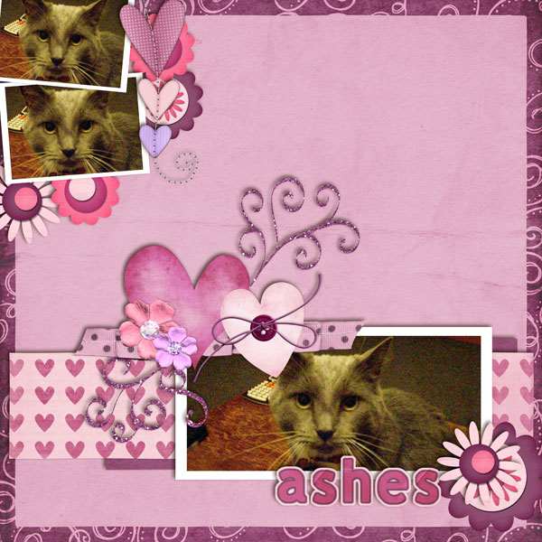 Ashes