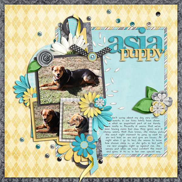 Asia Puppy