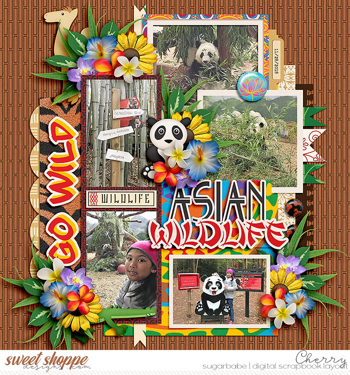 Asian Wildlife