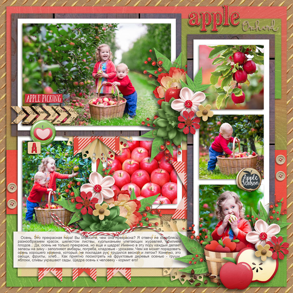 At the apple orchard