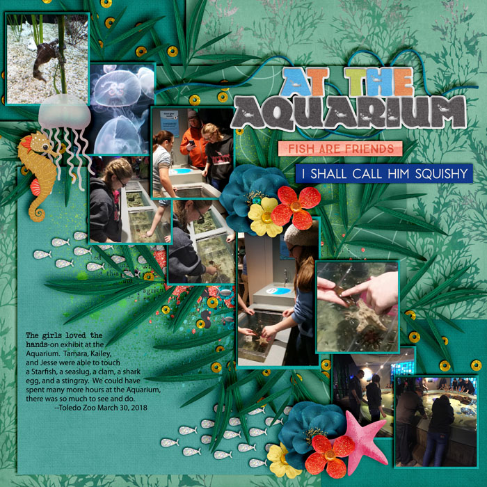 At the Aquarium