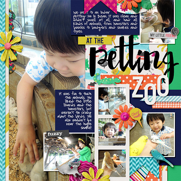 At the Petting Zoo