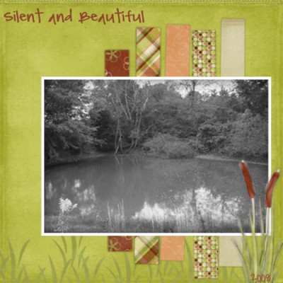 At The Pond
