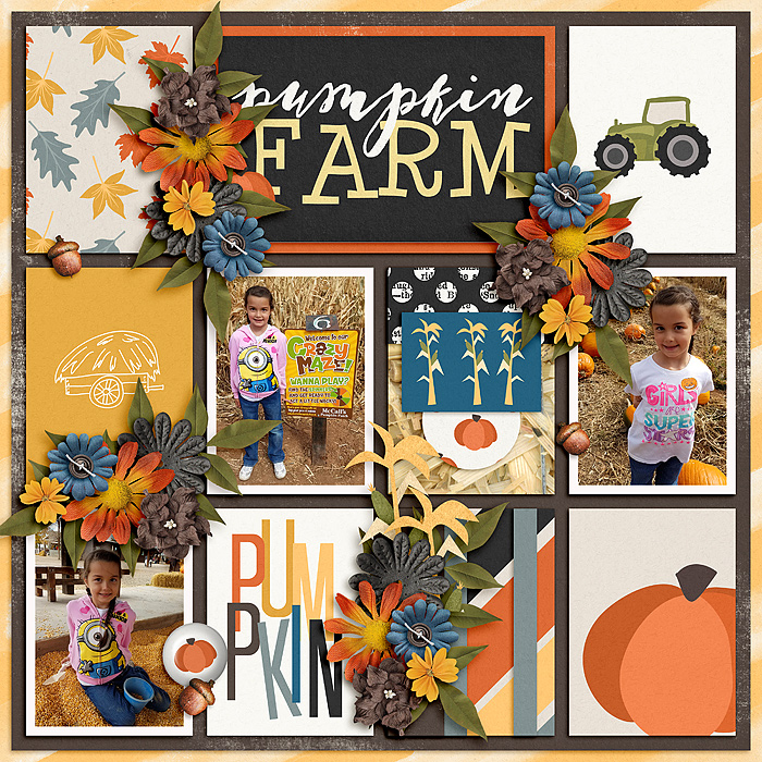 At the Pumpkin Farm