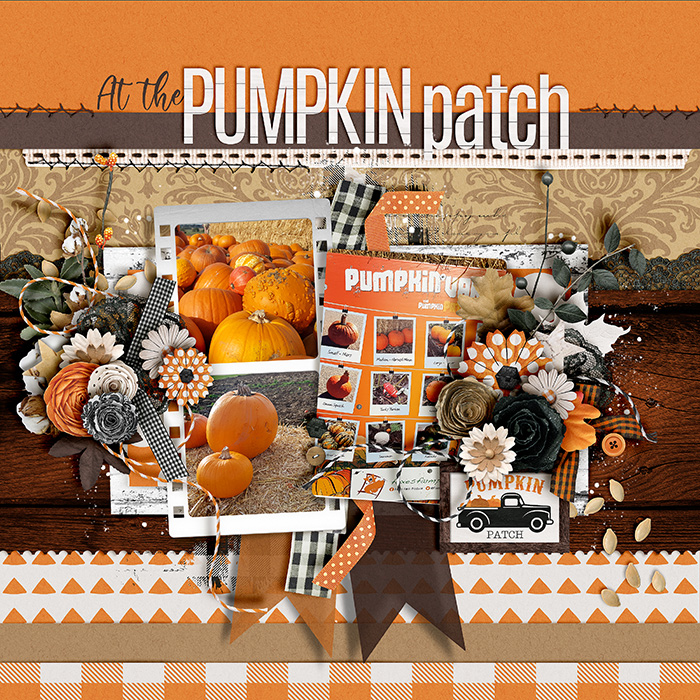 At the pumpkin patch
