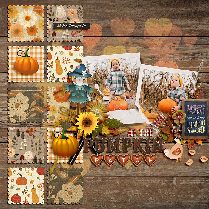 At the pumpkin patch