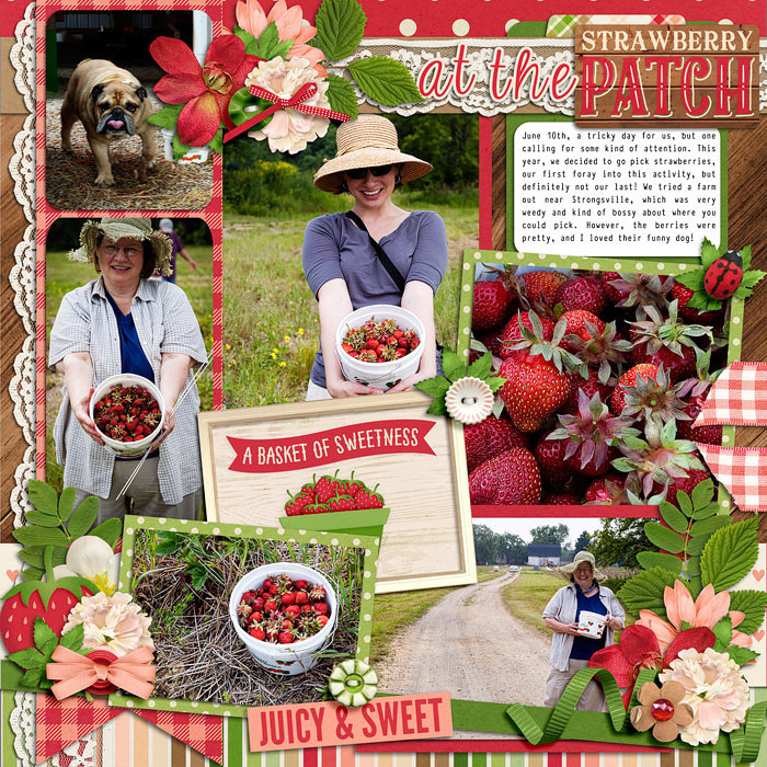 At the Strawberry Patch