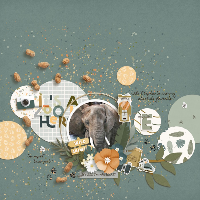 At the Zoo - Collection