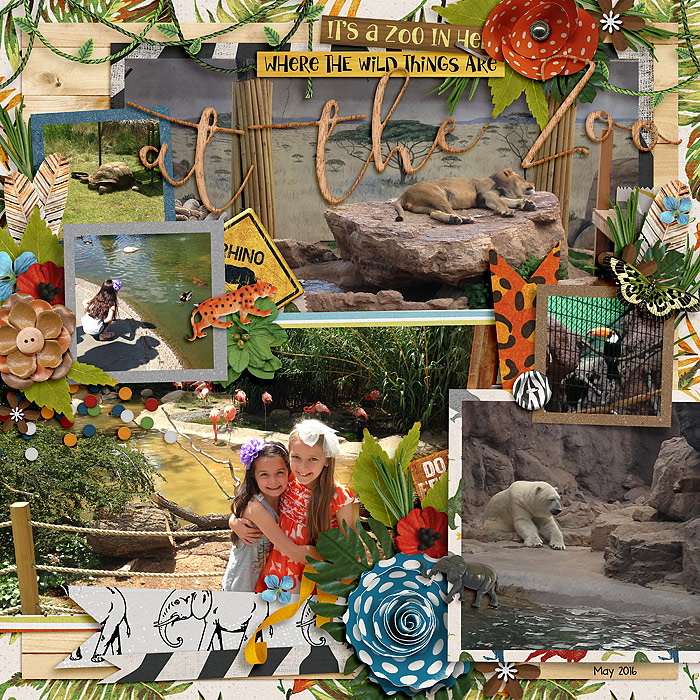 At the Zoo