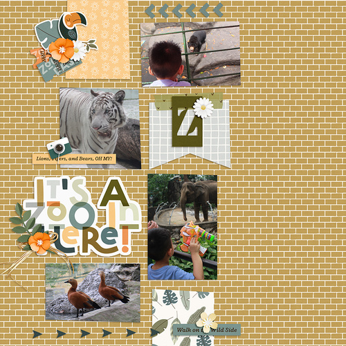 At the Zoo