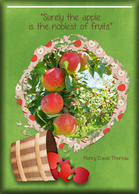 ATC 2023-032 The Apple