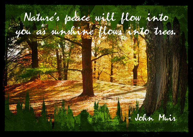 ATC 2024-004 Nature's Peace