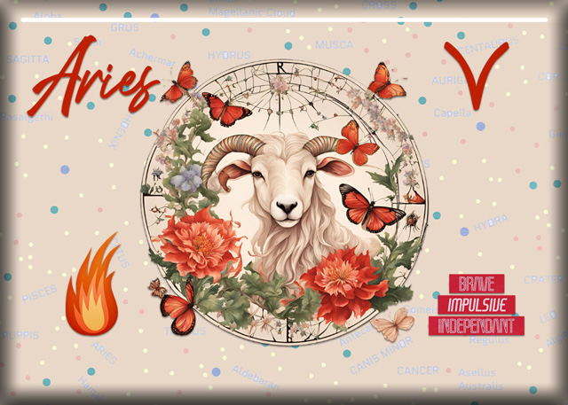 ATC 2025-009 Aries