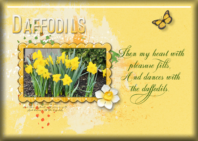 ATC 2025-027 Daffodils