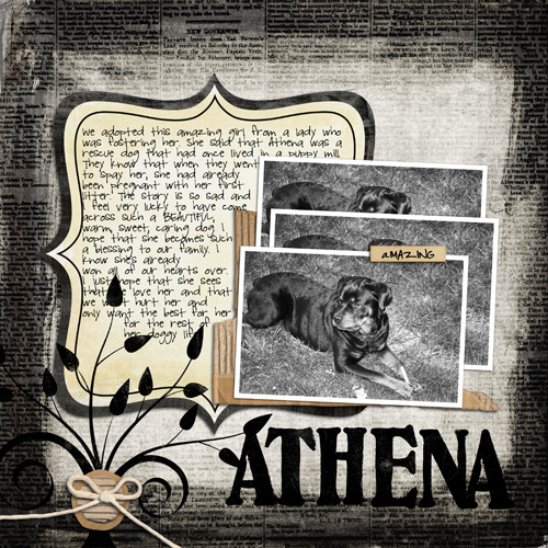 Athenas Story