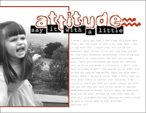 Attitude