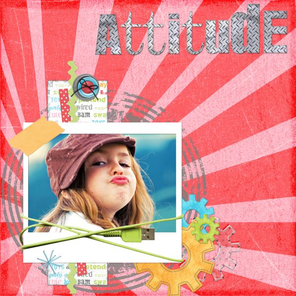 Attitude