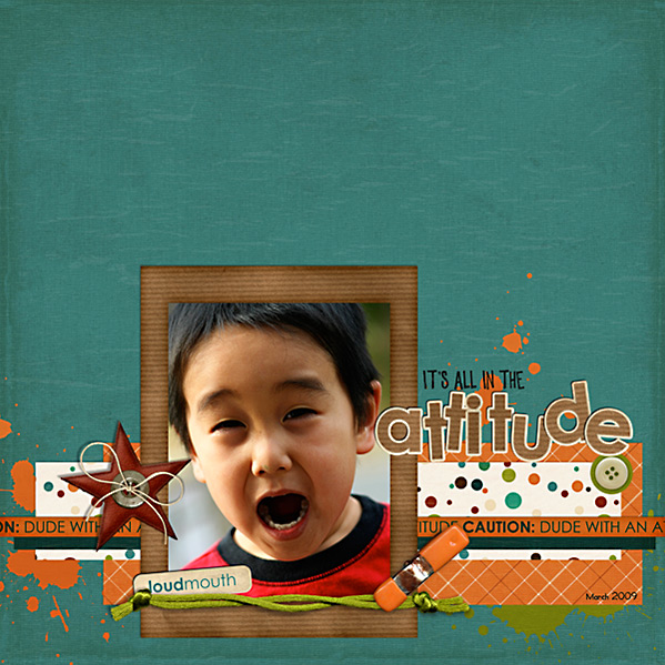 Attitude