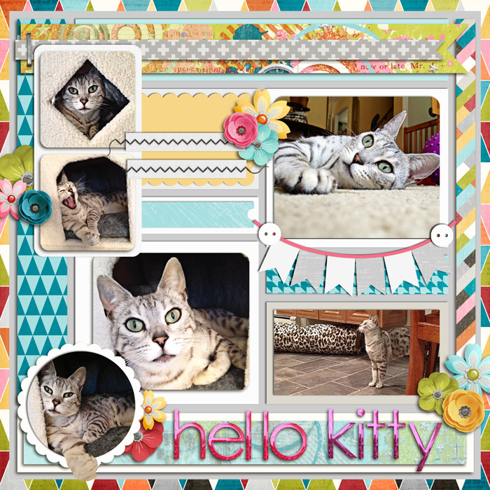 august 21 shadowbox challenge