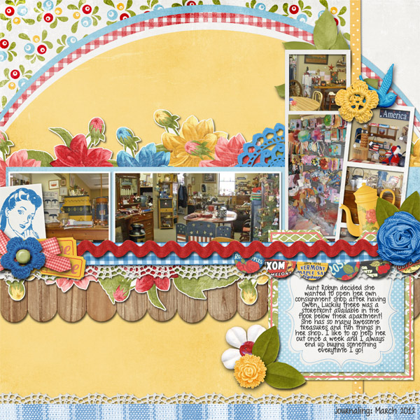Aunt Robyn's Shop