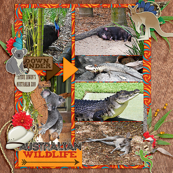 Australian Wildlife