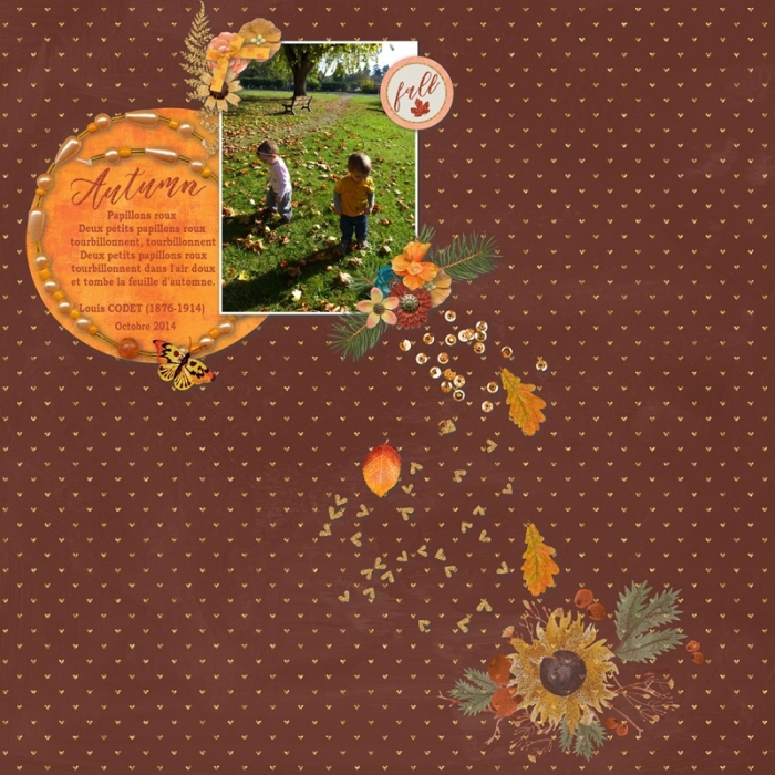 Automne, Les Papillons roux